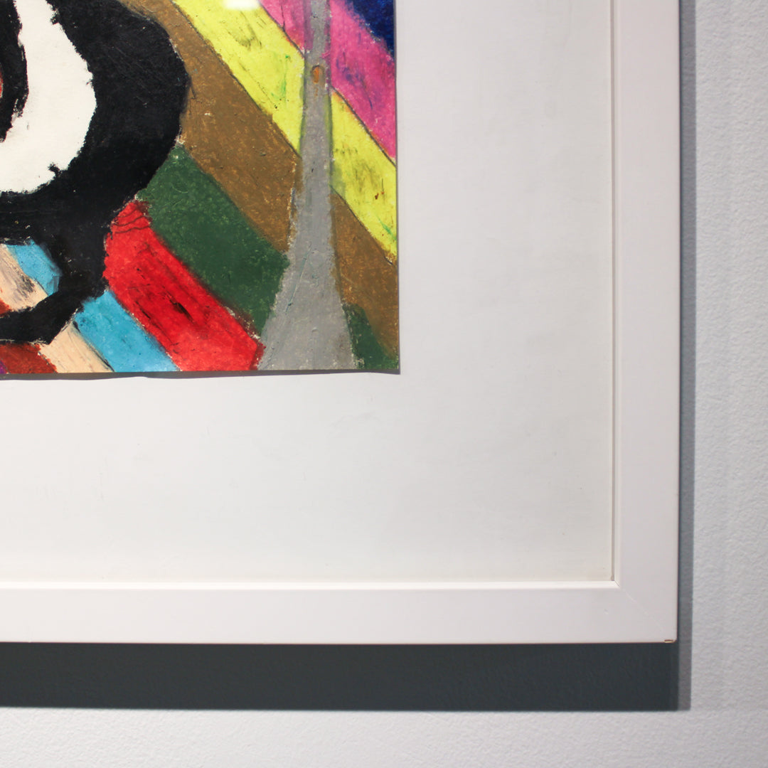 Skunk on a Colorful Background