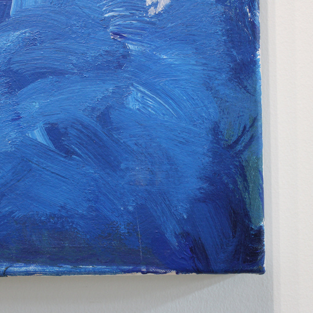 The Amazing Rainbow Trout (Unframed)
