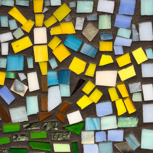 A Day with the Daisies