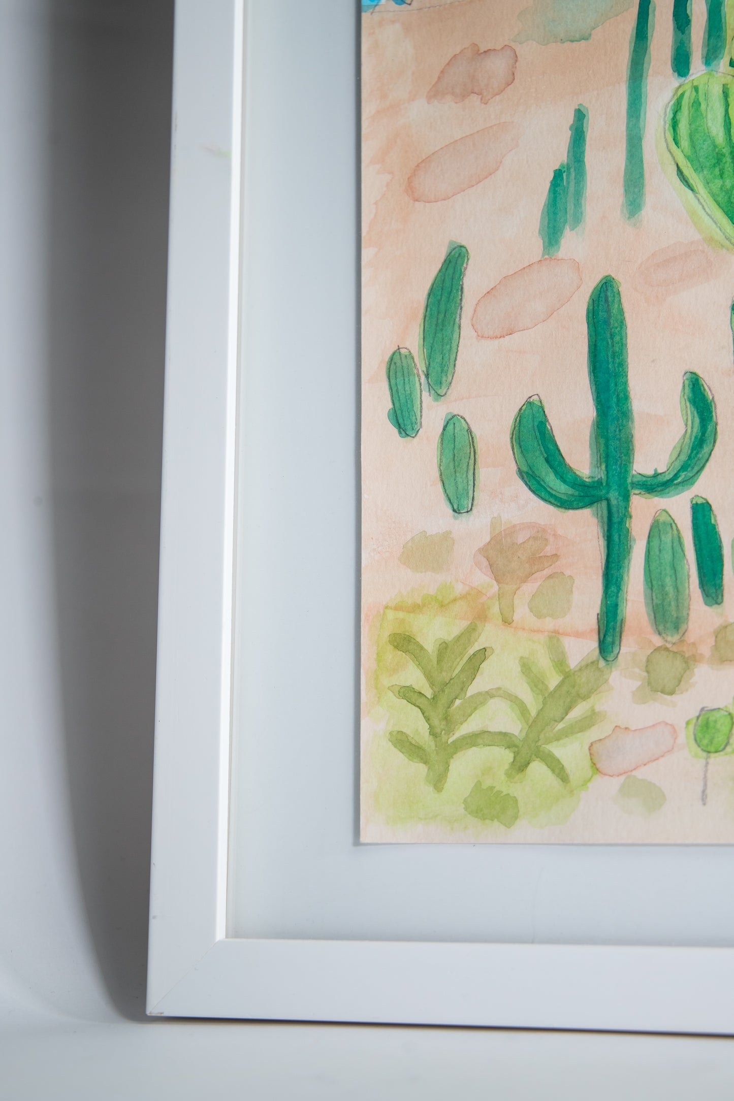 Cacti, Framed