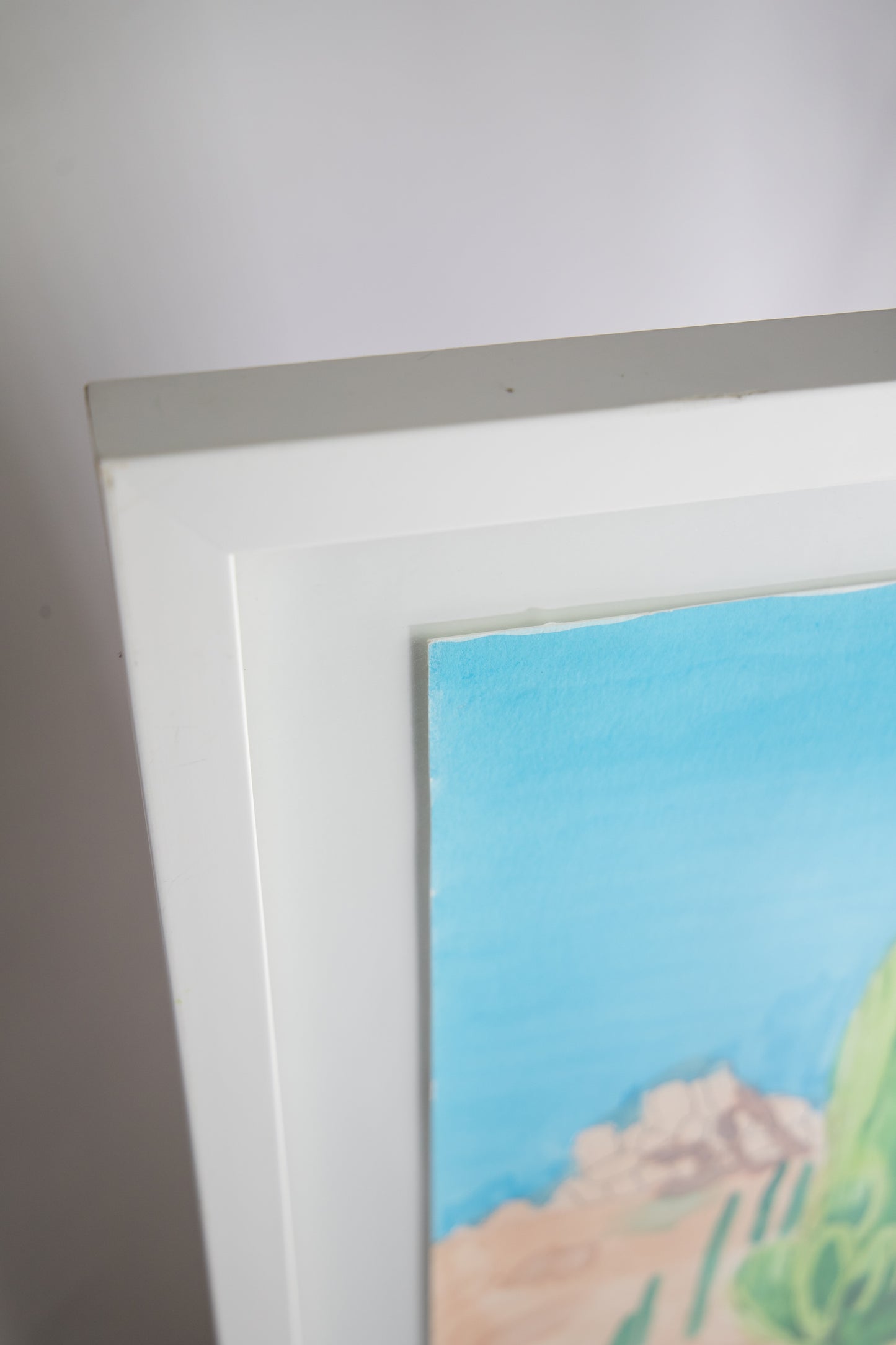 Cacti, Framed
