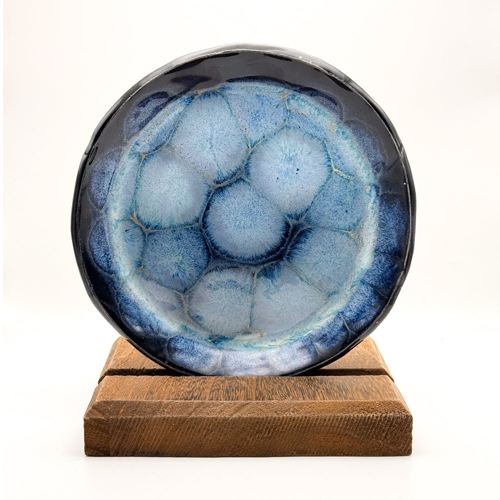 Frozen Pond Plate