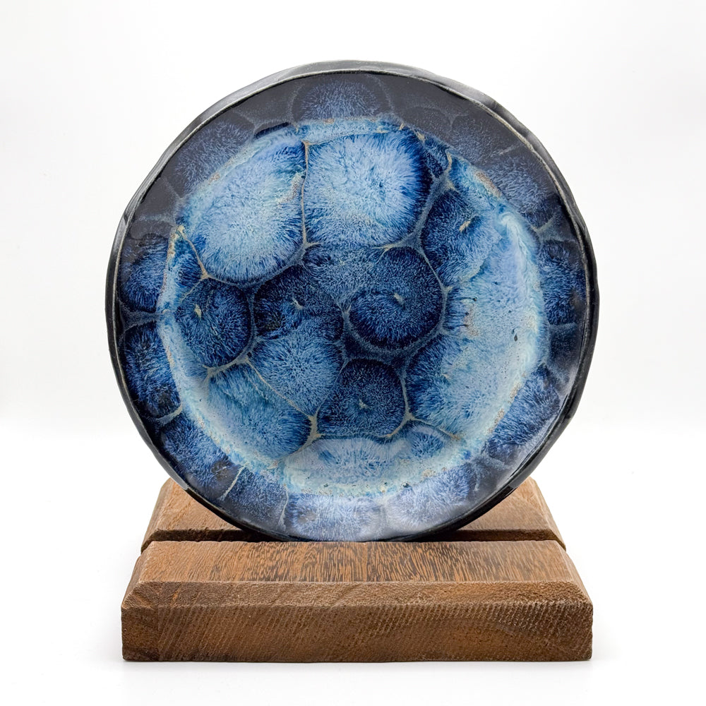 Frozen Pond Plate