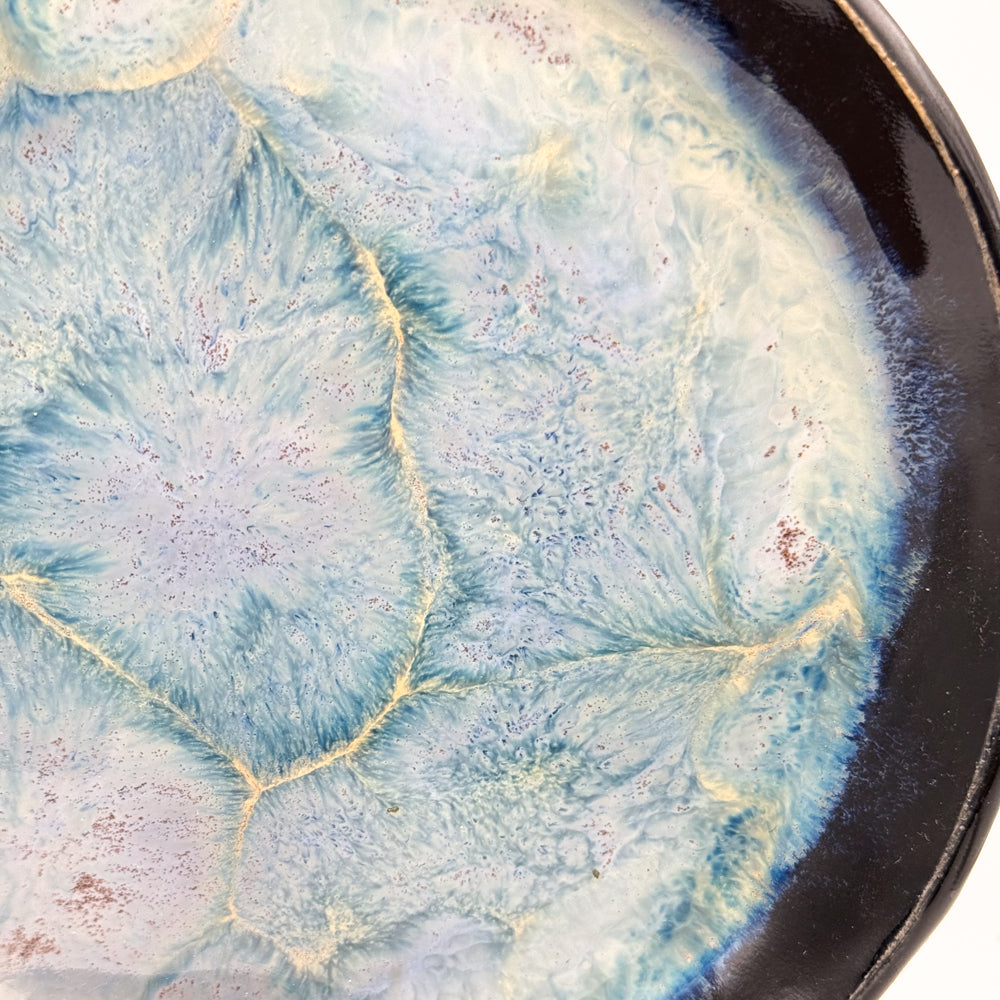 Frozen Pond Plate
