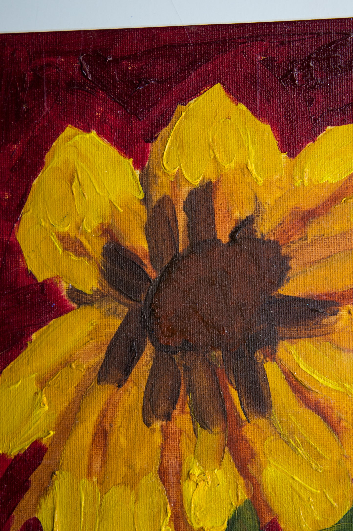 Sunflower, Framed