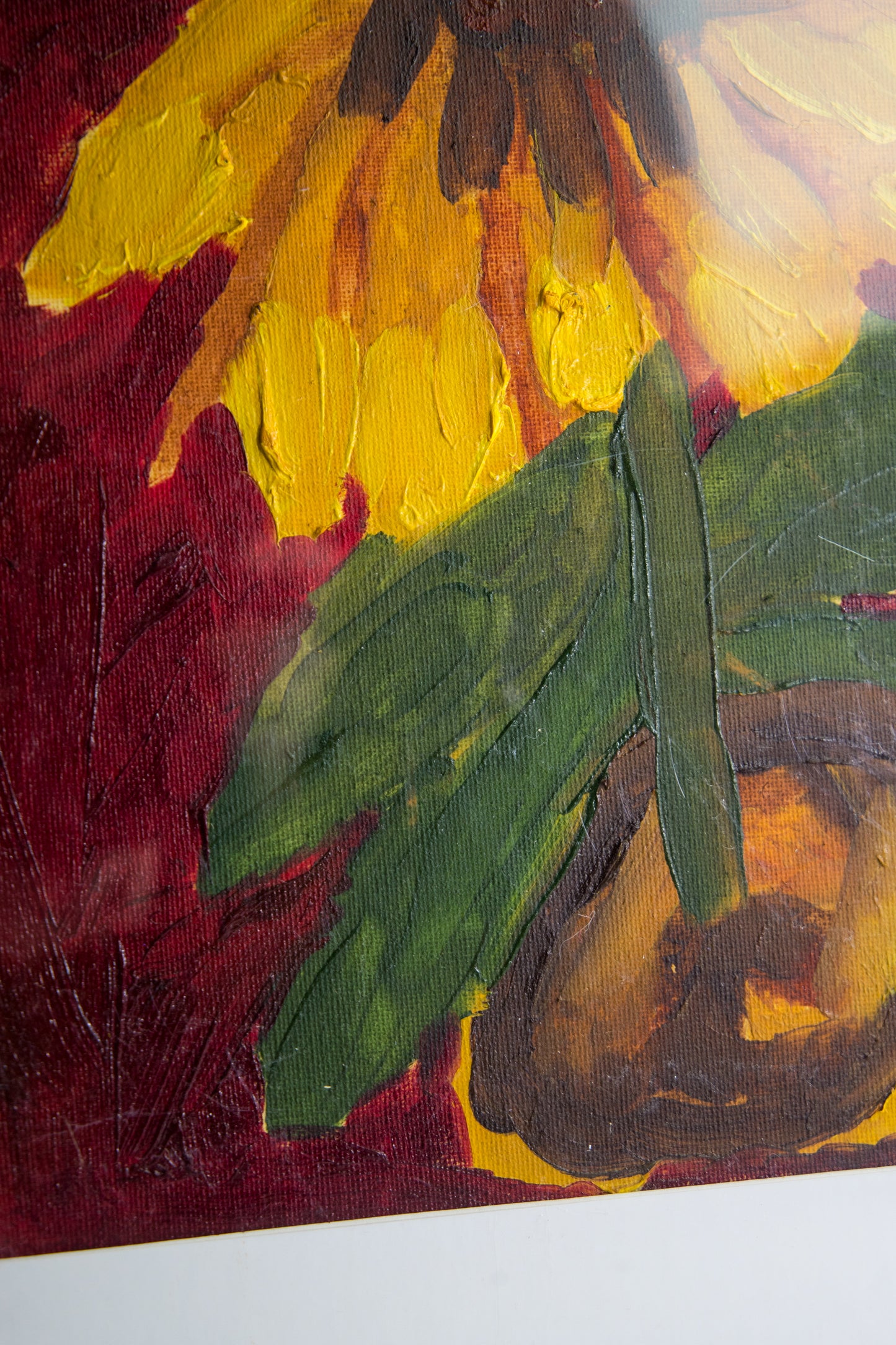 Sunflower, Framed