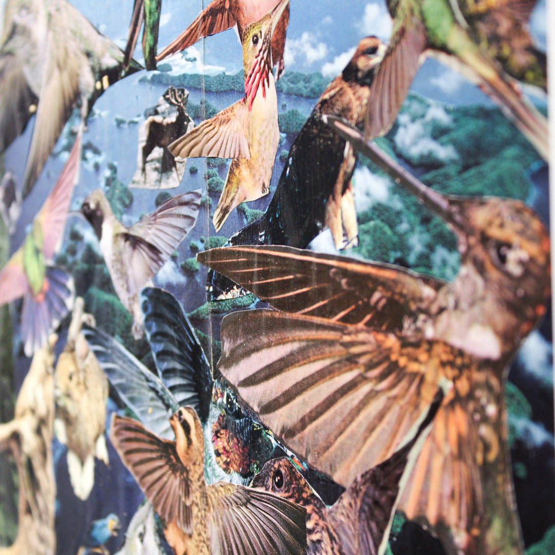 Mystery Migration