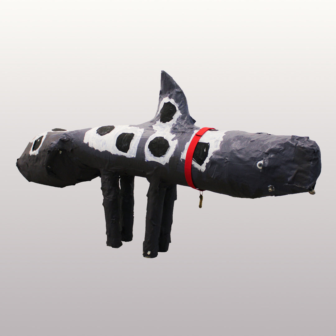 Shark Dalmation