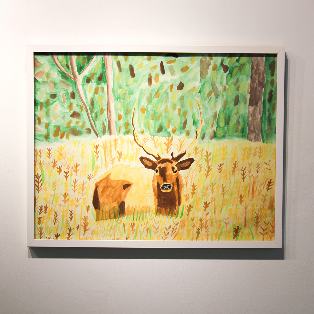 Deer in the Field