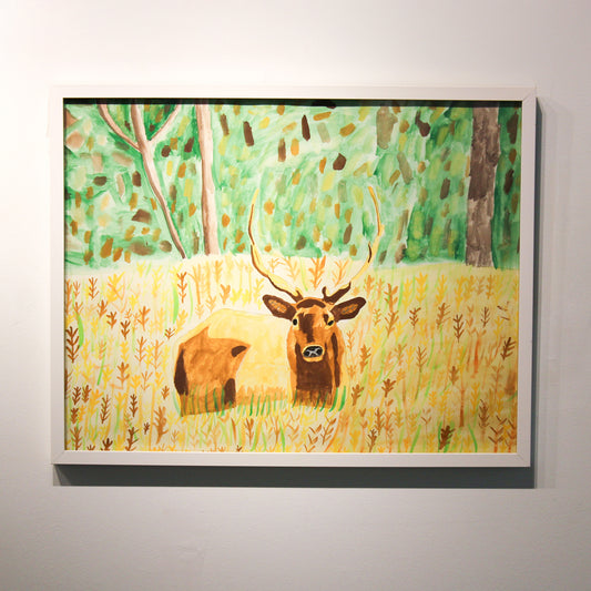 Deer in the Field