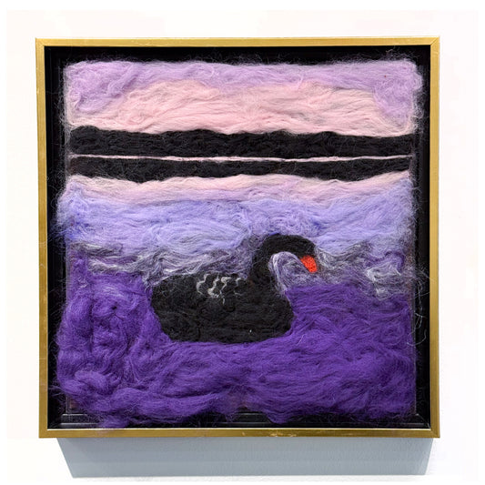 Black Australian Swan