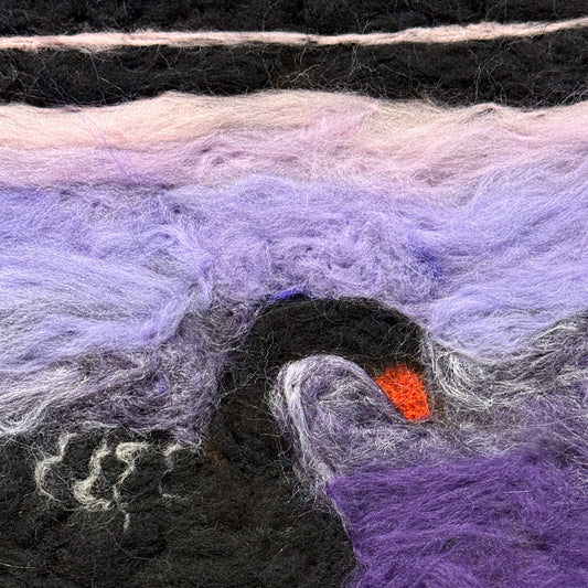 Black Australian Swan