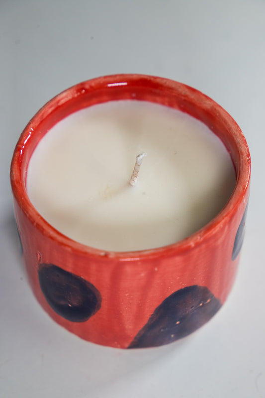 Hand Poured Ceramic Candle