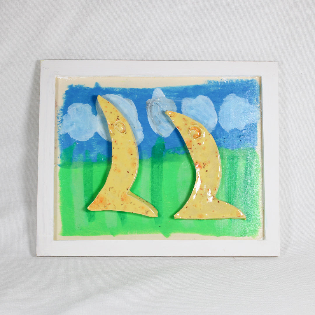 Two Ducks