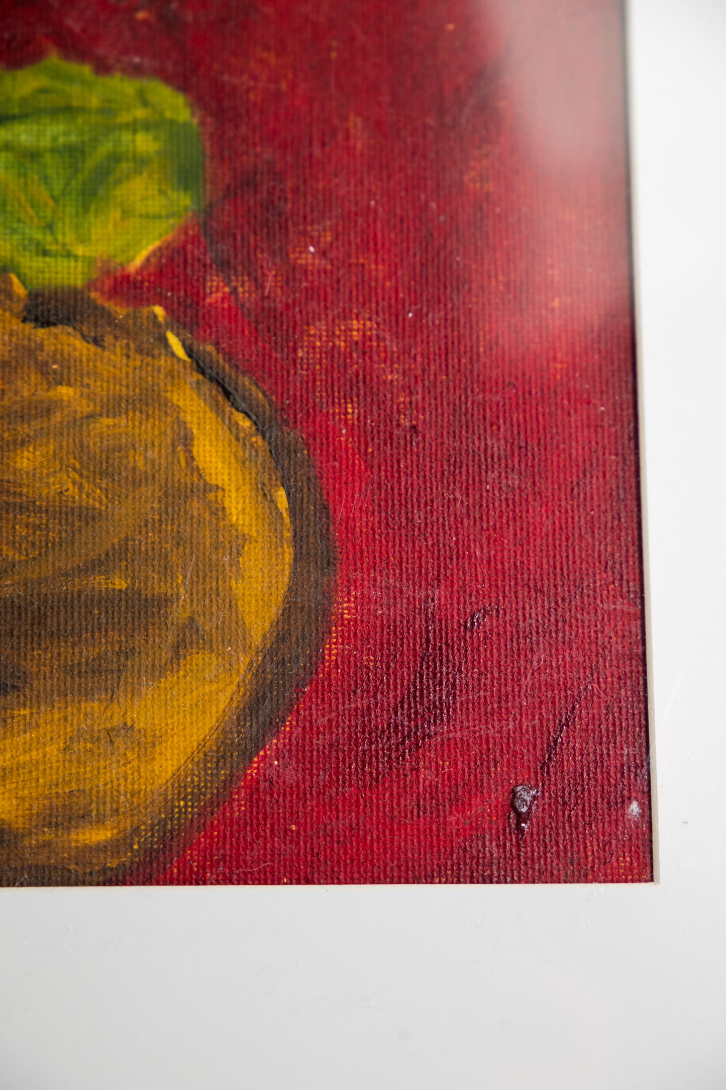 Sunflower, Framed