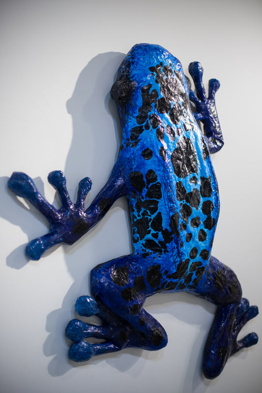 Fred the Rainforest Frog