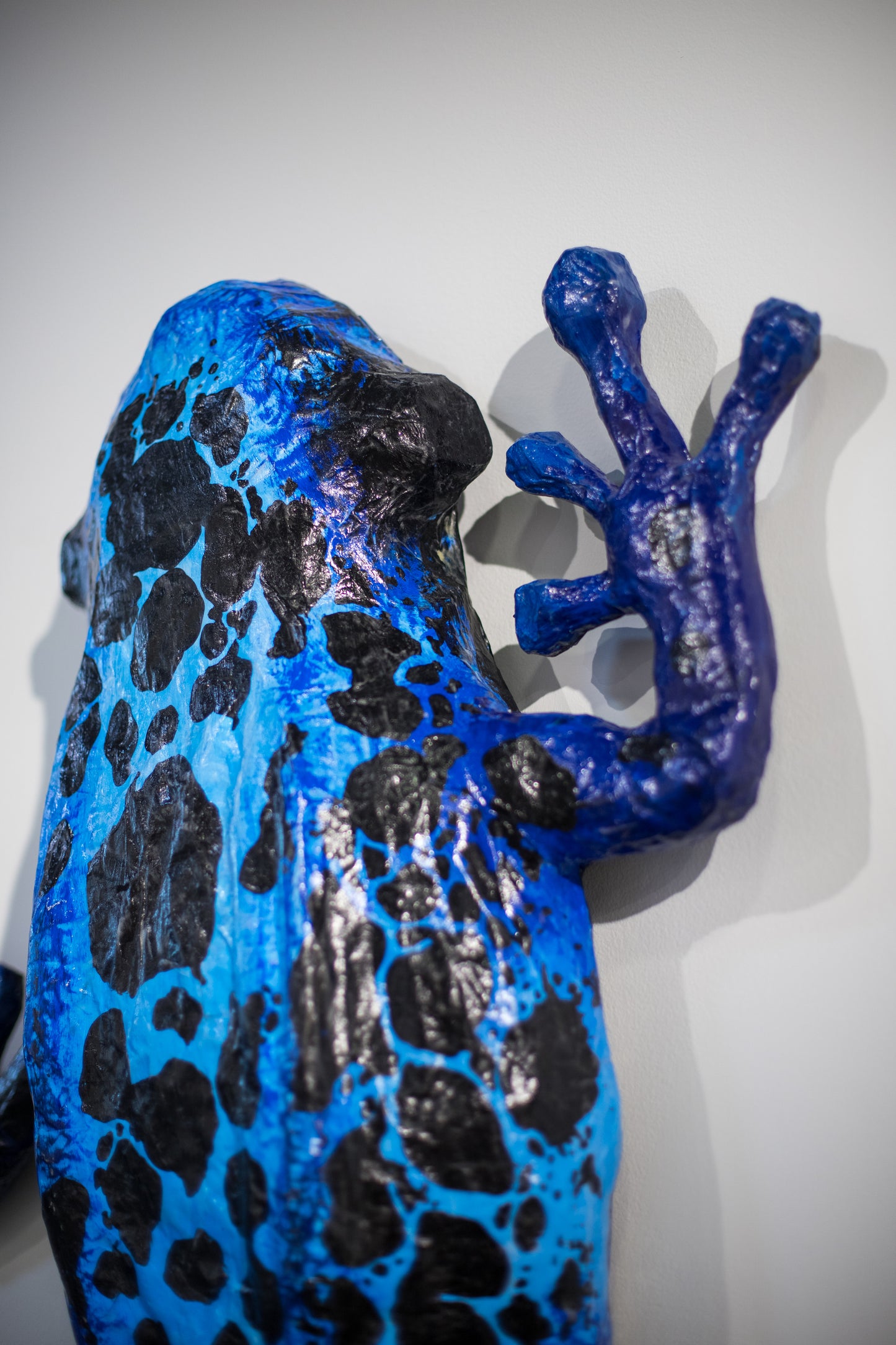 Fred the Rainforest Frog