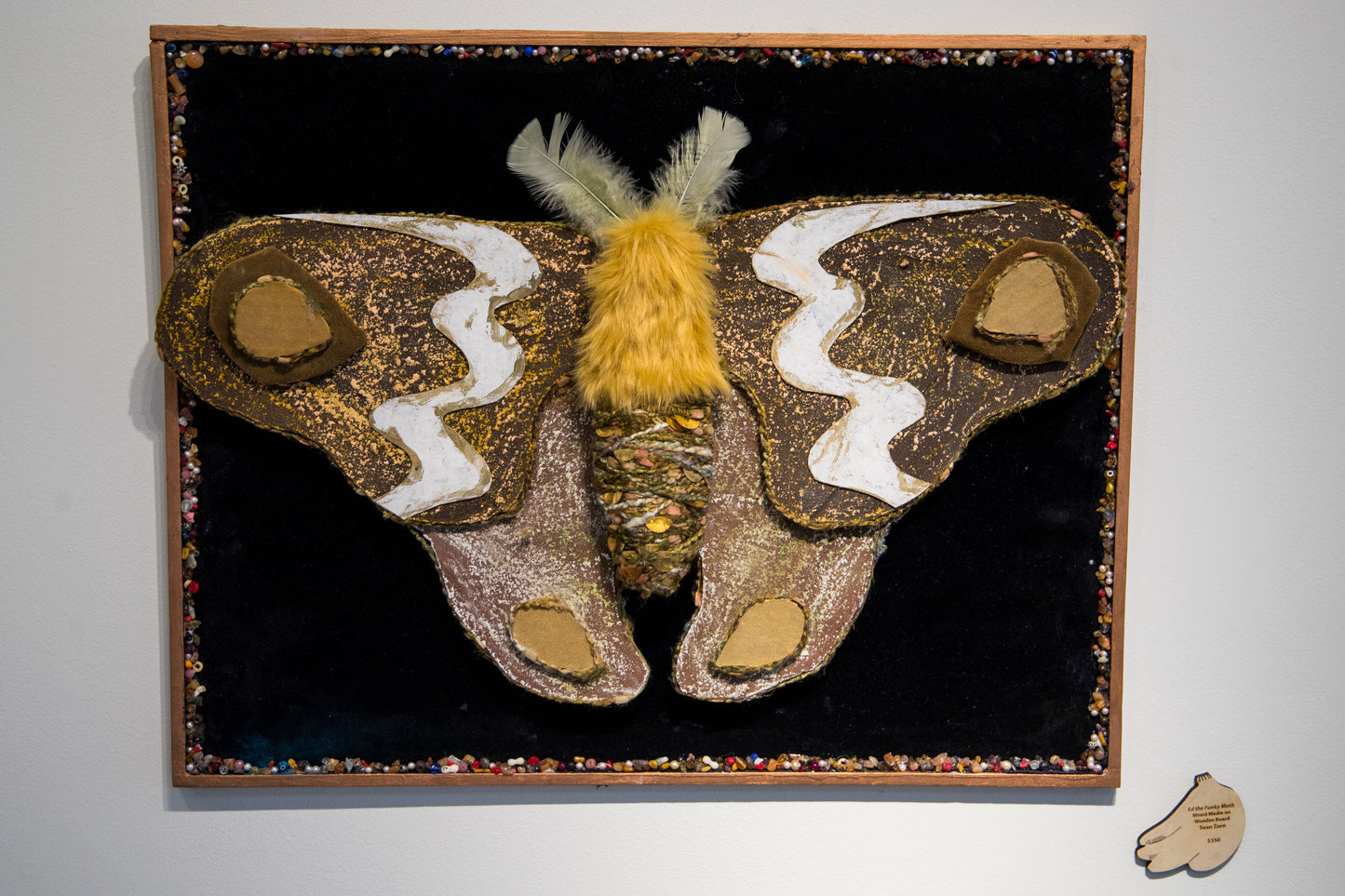 Ed the Funky Moth