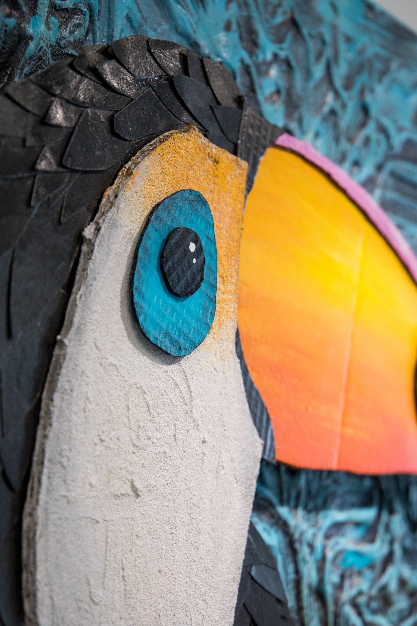 I Can, You Can, Toucan