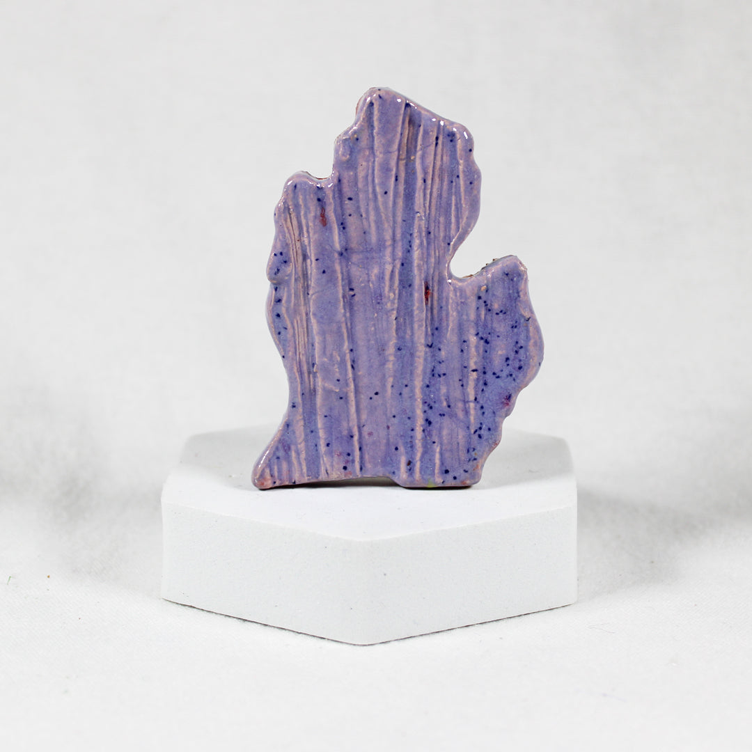 Mitten Magnet