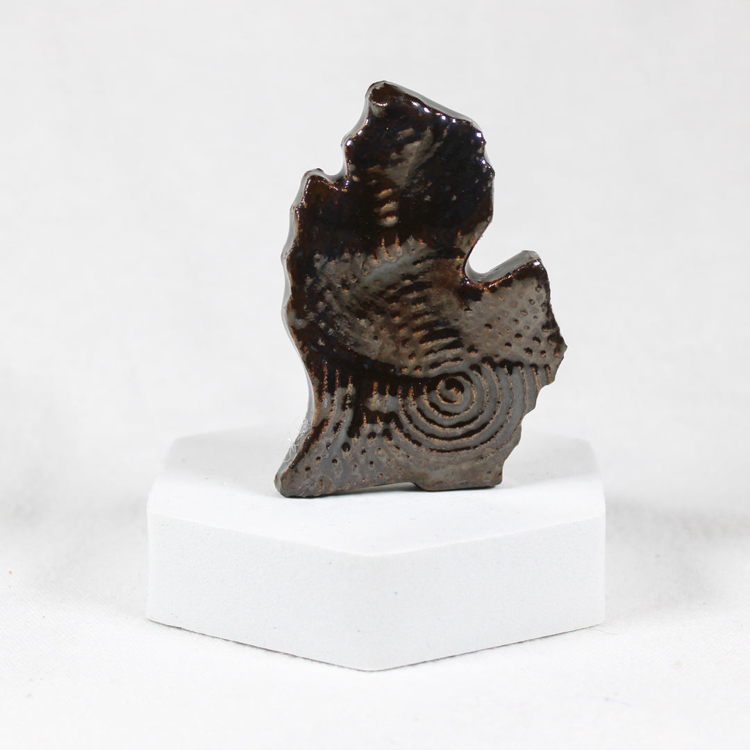 Mitten Magnet