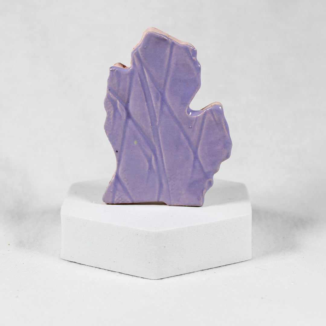 Mitten Magnet