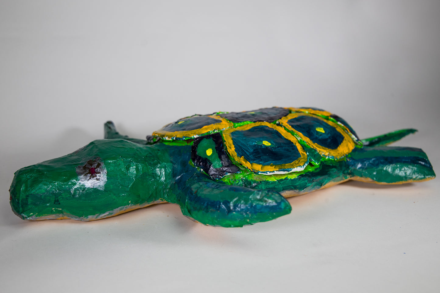 I Like Turtles