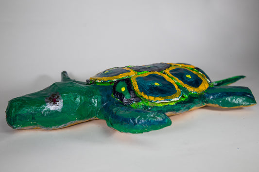 I Like Turtles