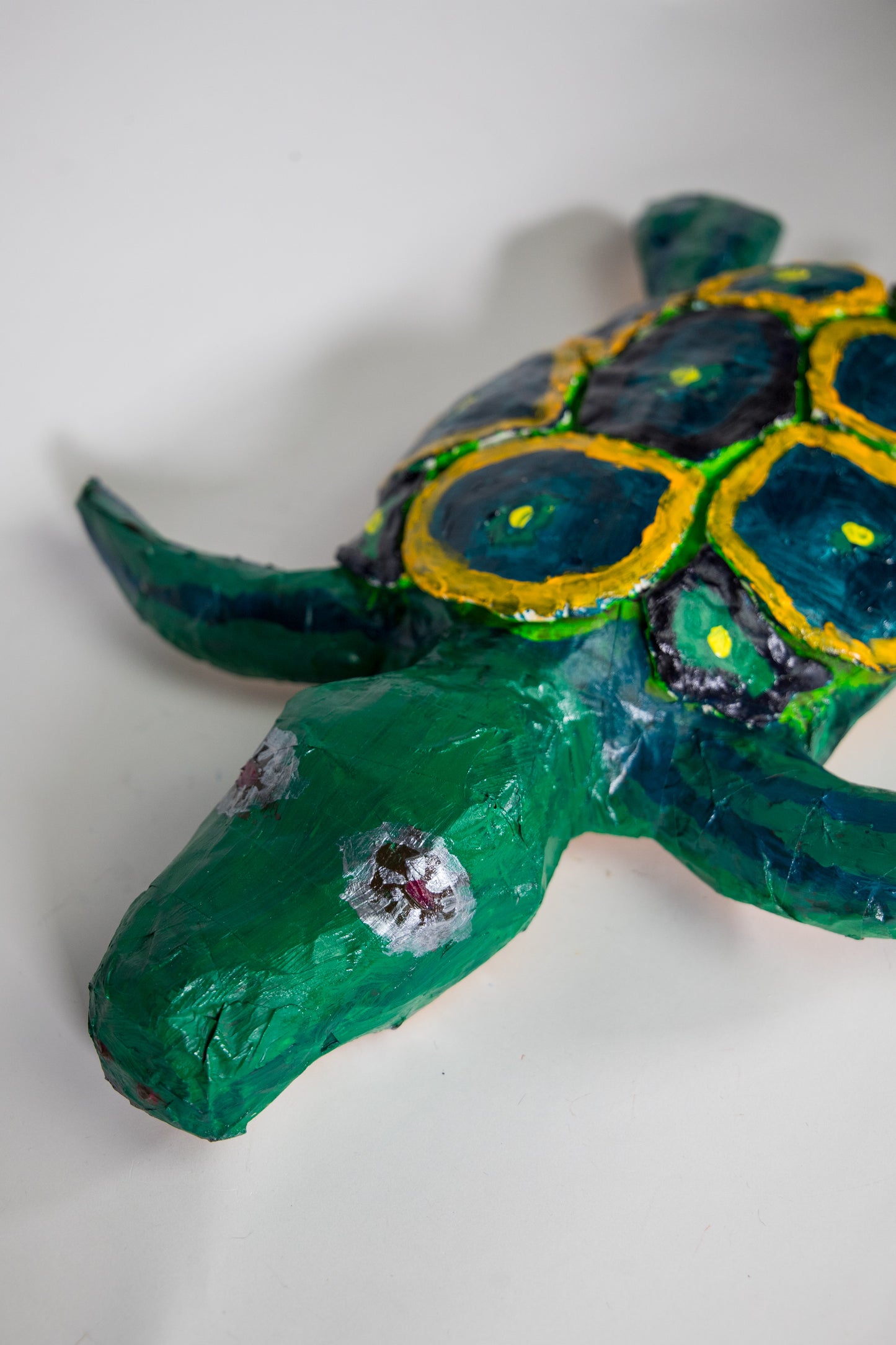 I Like Turtles