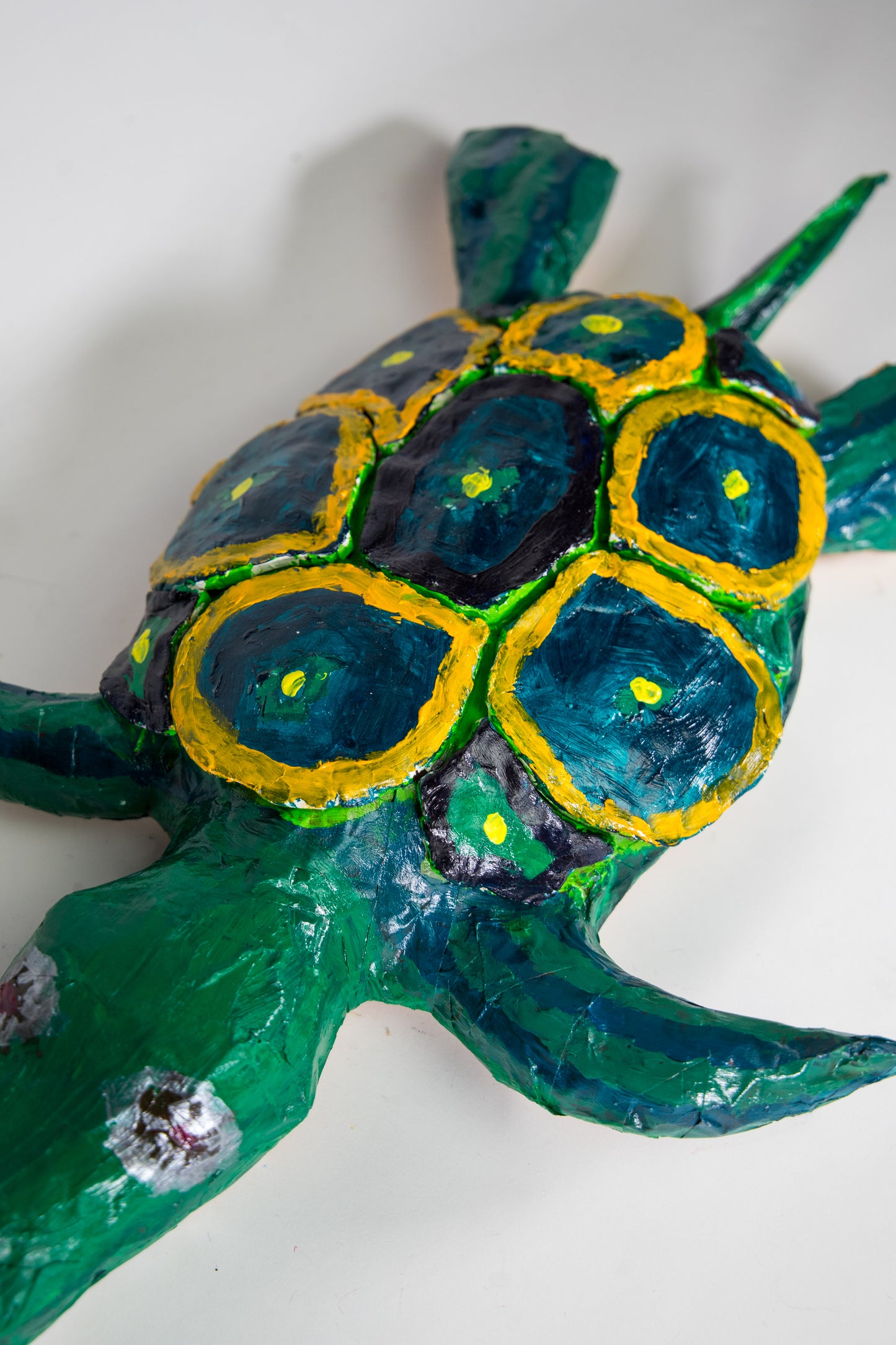 I Like Turtles