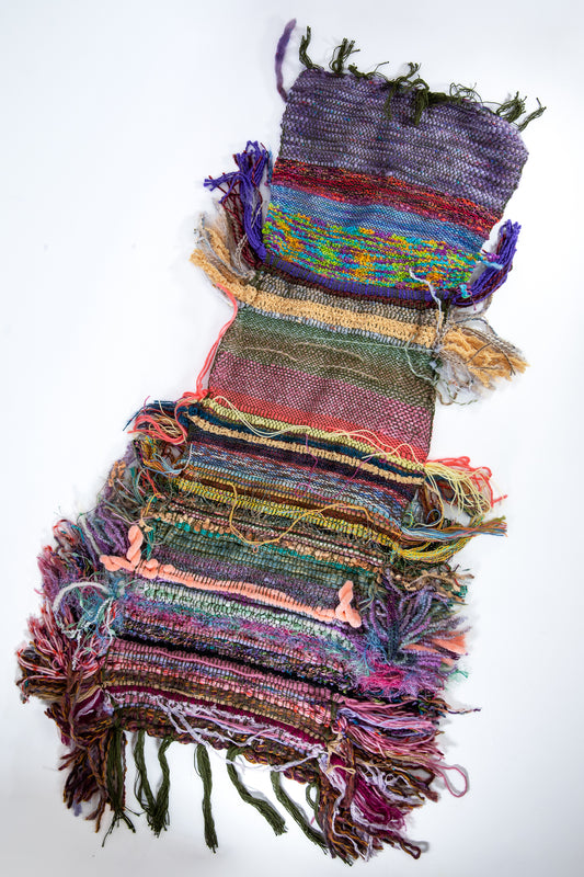 The Muppets At Walt Disney World Orlando Florida Wall Tapestry