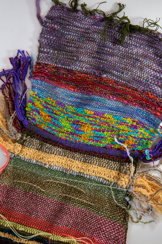 The Muppets At Walt Disney World Orlando Florida Wall Tapestry