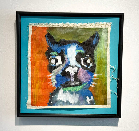 Dog in Blues