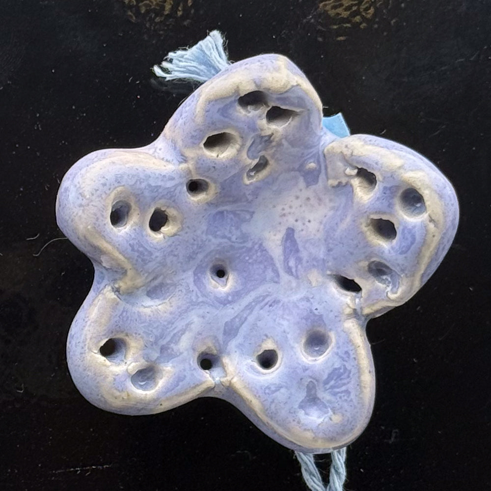 Ceramic Magnet