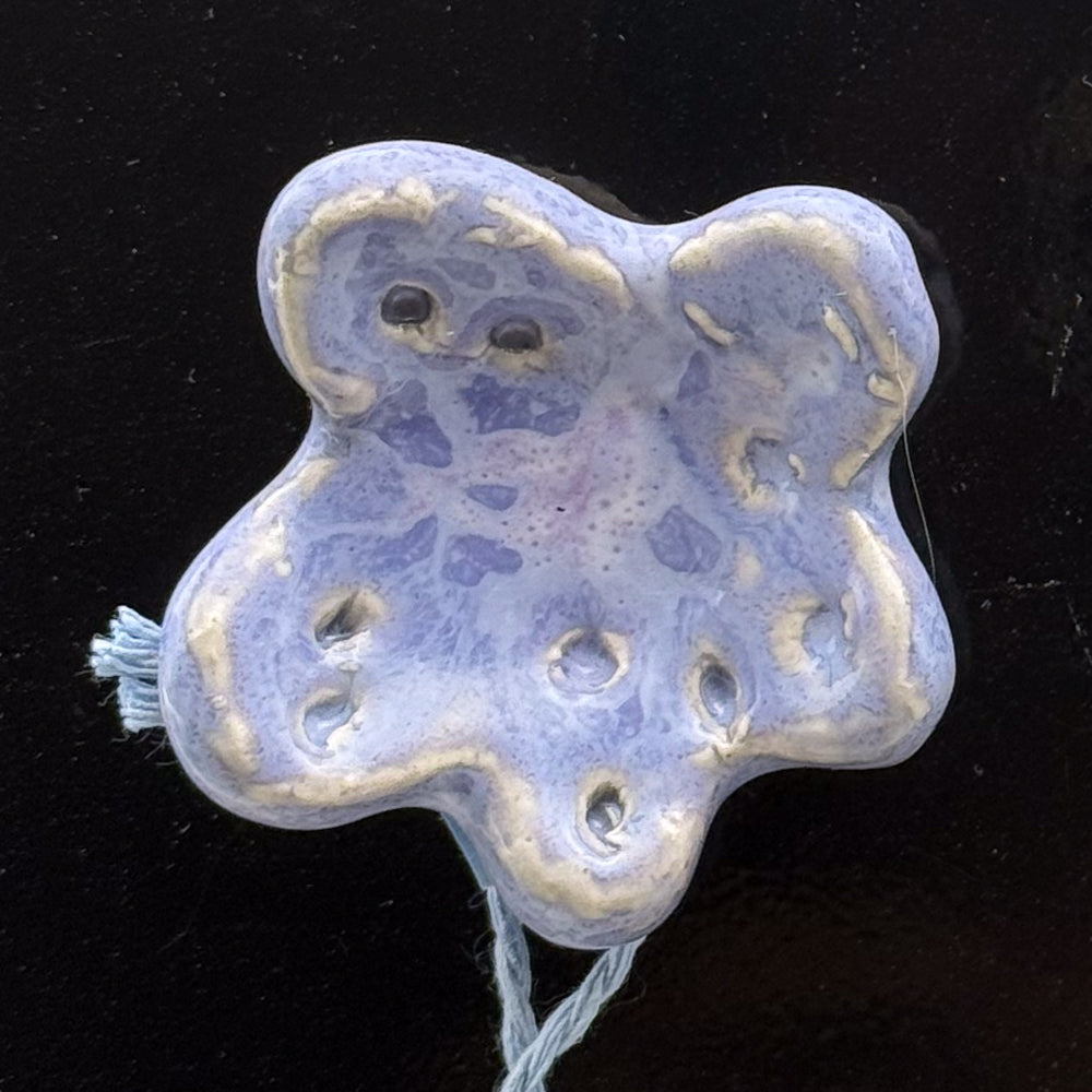 Ceramic Magnet