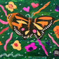 Butterfly Garden
