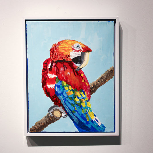 Colorful Macaw