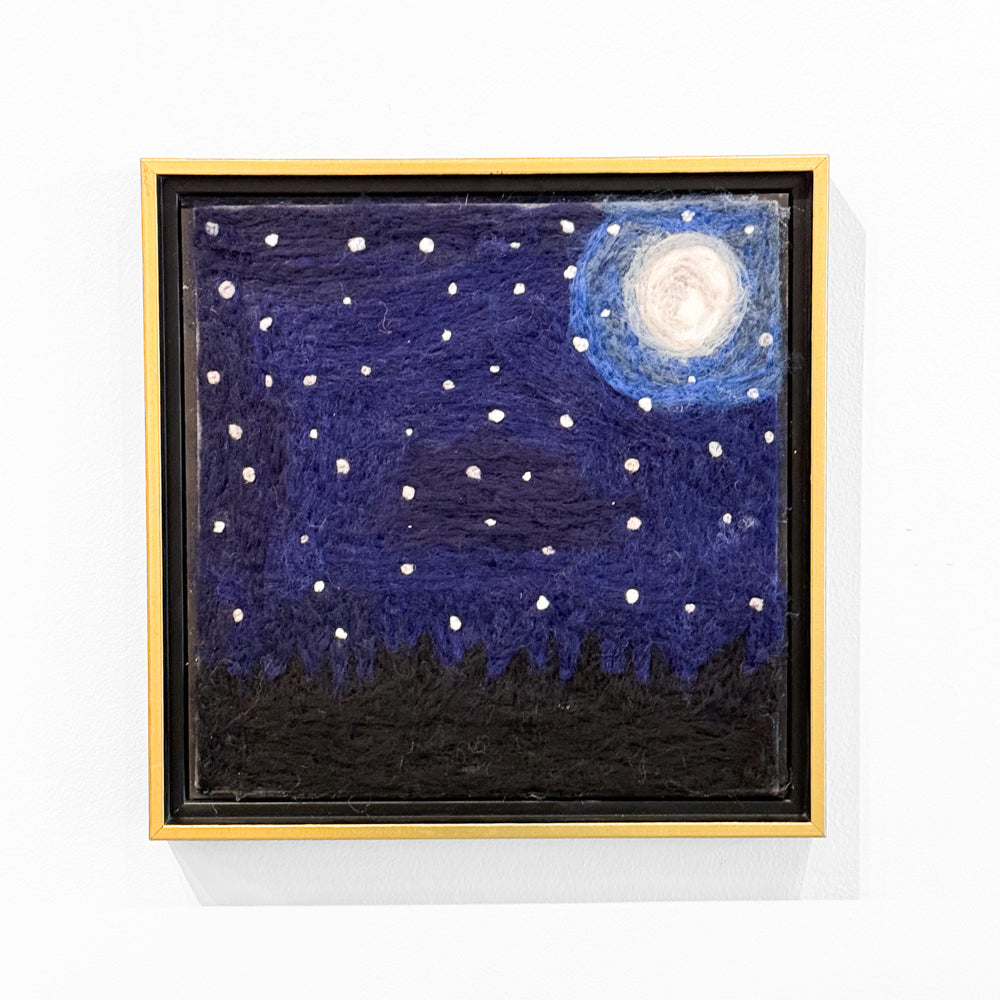 Moonlit Night