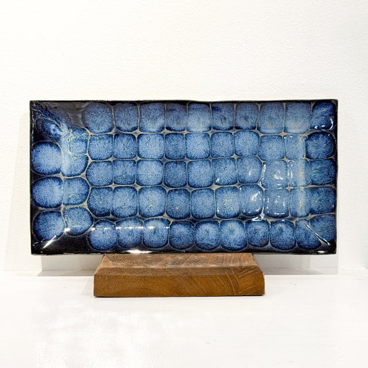 Frozen Pond Tray