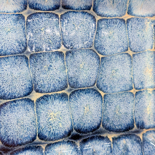 Frozen Pond Tray