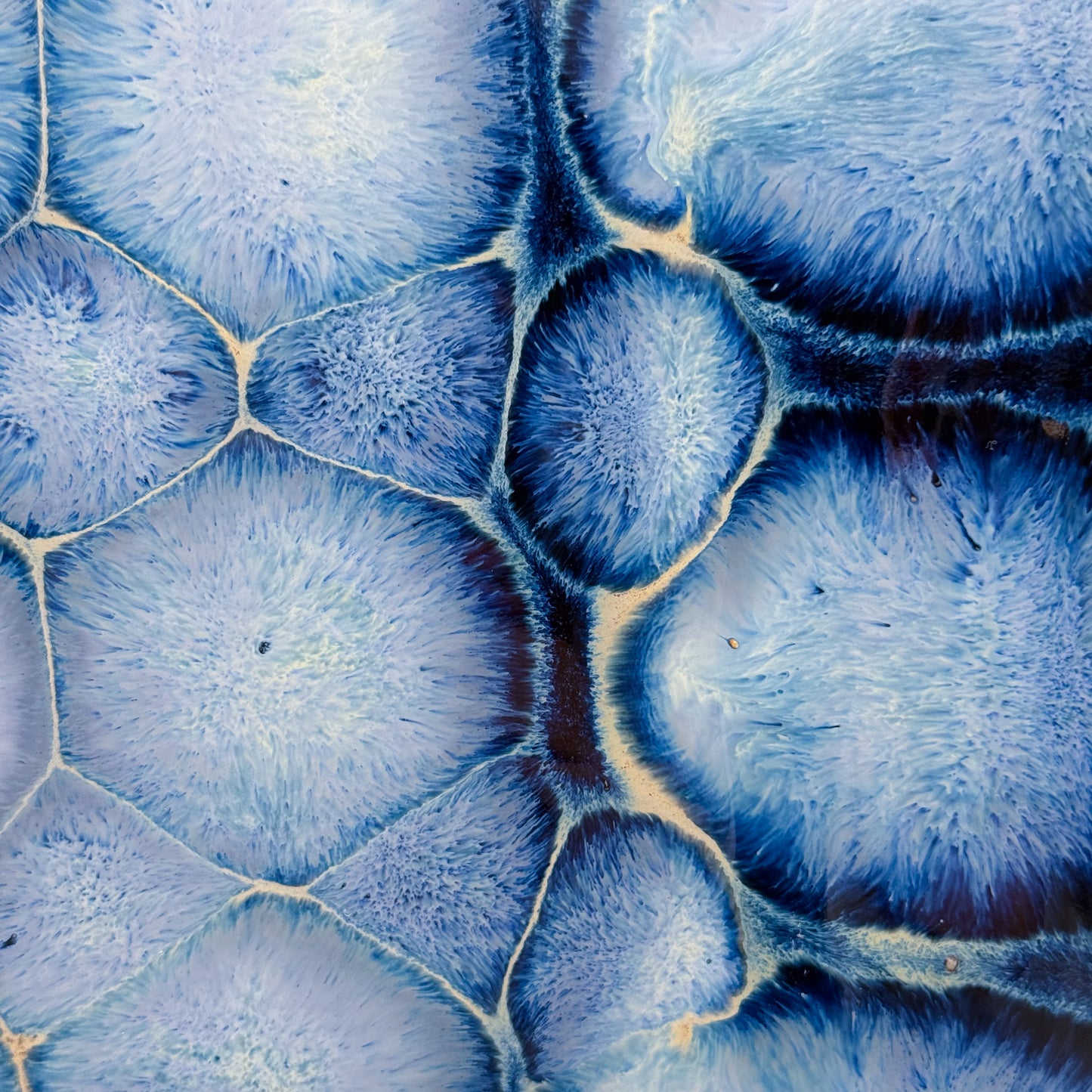Frozen Pond Plate