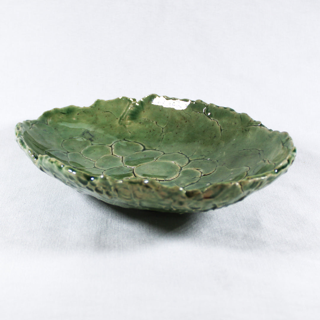 Turtle Shell Ceramic Bowl