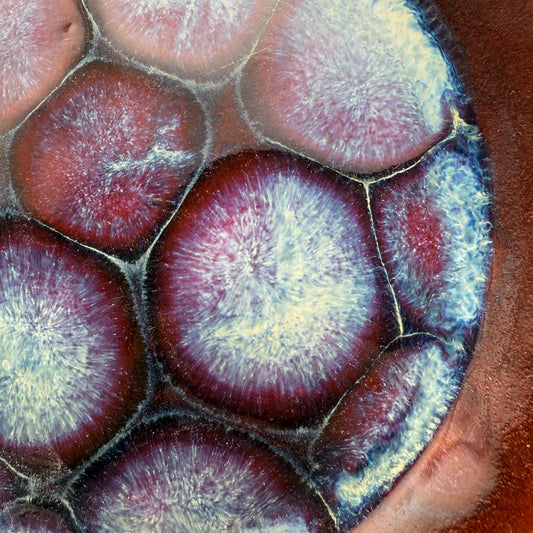Frozen Pond Plate