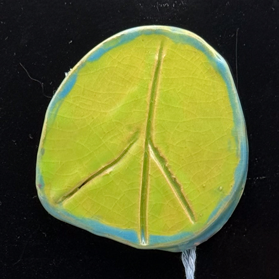 Ceramic Magnet