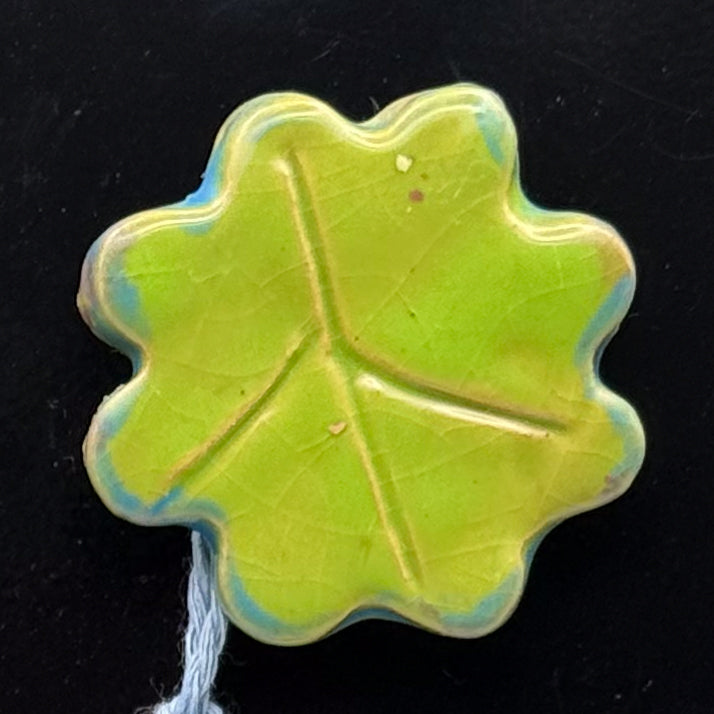 Ceramic Magnet