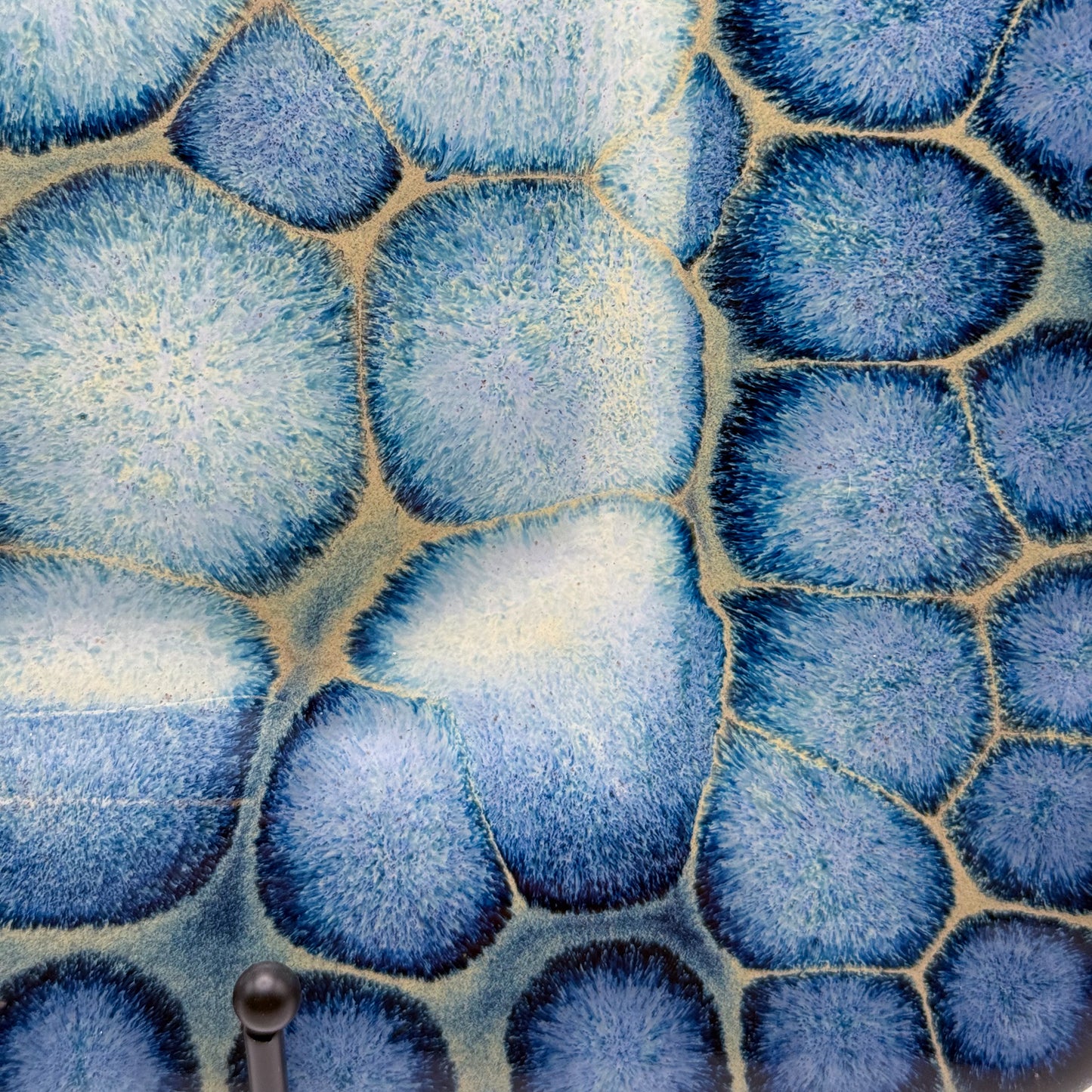 Frozen Pond Plate