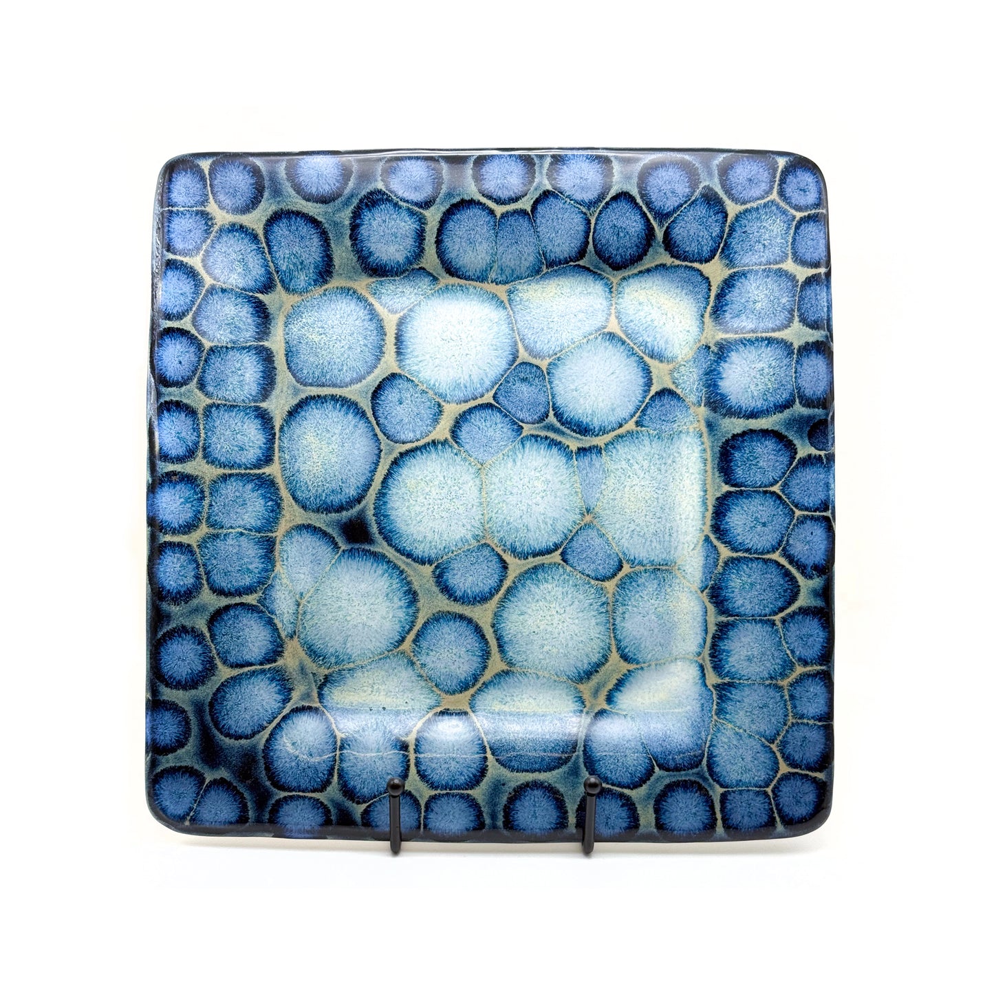 Frozen Pond Plate