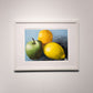 Fruits that Illuminate the Human Condition, Framed