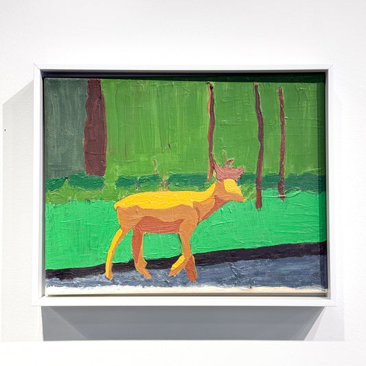 Moose in the Woods