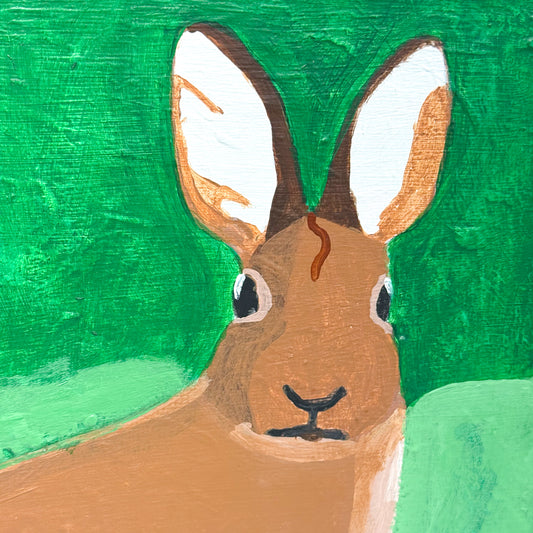 Detroit Bunny of Michigan